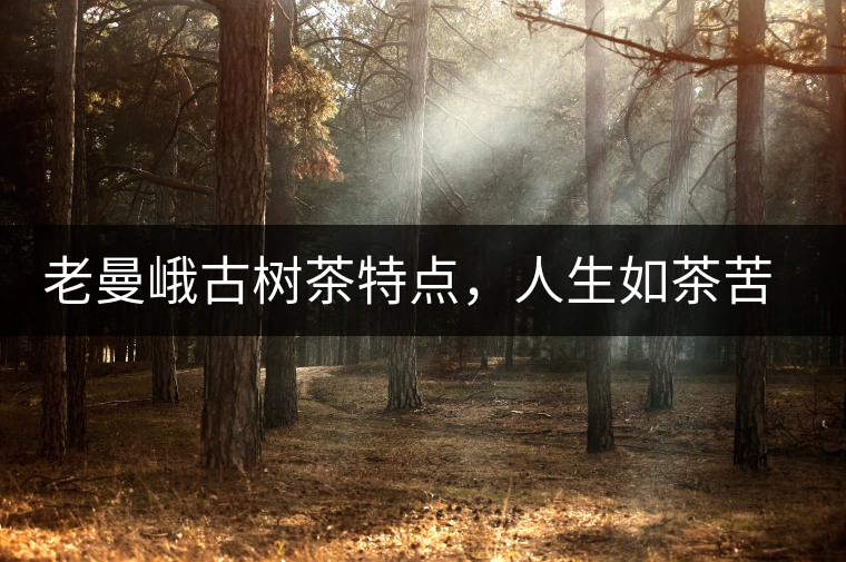 老曼峨古樹(shù)茶特點(diǎn)，人生如茶苦盡甘來(lái)