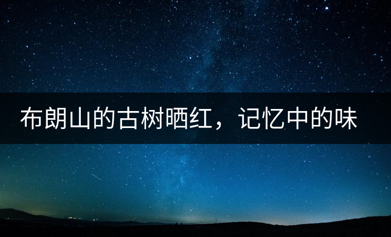 布朗山的古樹曬紅，記憶中的味道