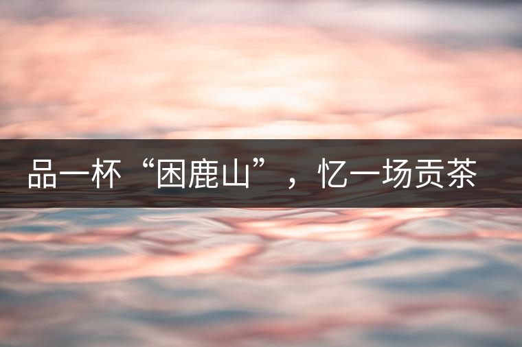 品一杯“困鹿山”，憶一場貢茶情