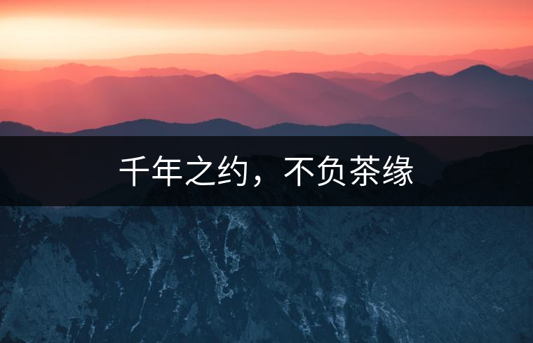 千年之約，不負茶緣