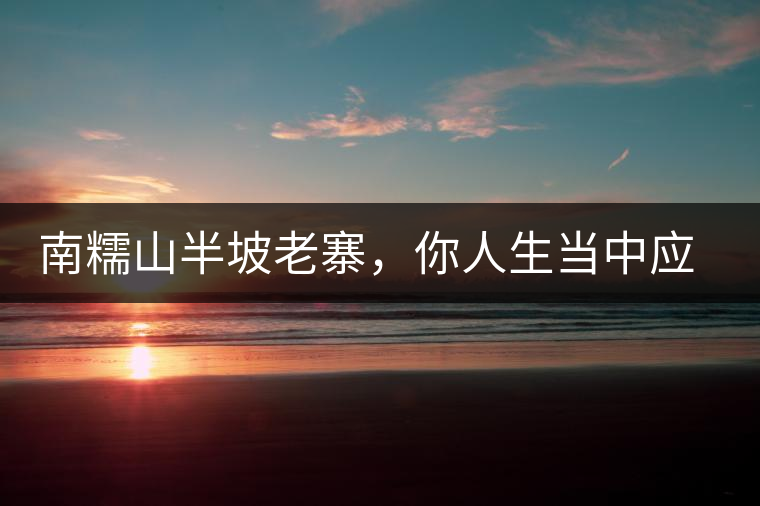 南糯山半坡老寨，你人生當中應該入手的第一片勐海味古樹純料普洱茶