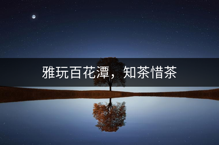 雅玩百花潭，知茶惜茶