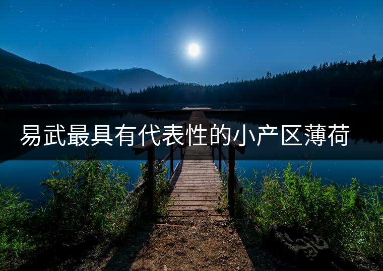 易武最具有代表性的小產(chǎn)區(qū)薄荷塘，一滴都不舍得浪費