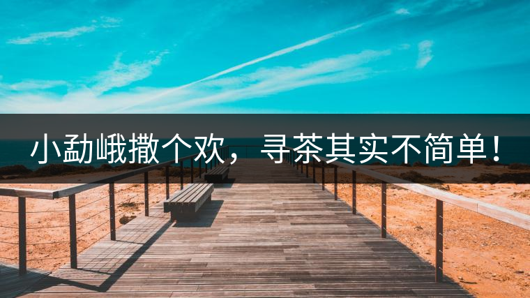 小勐峨撒個(gè)歡，尋茶其實(shí)不簡(jiǎn)單！