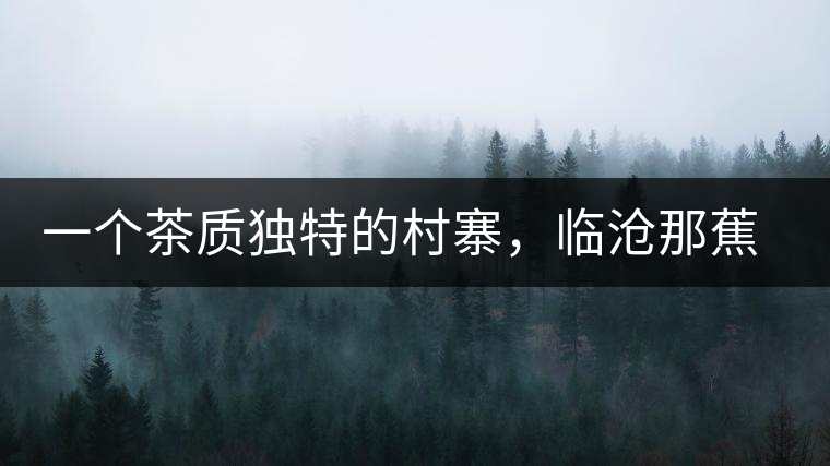 一個茶質(zhì)獨特的村寨，臨滄那蕉古樹茶介紹