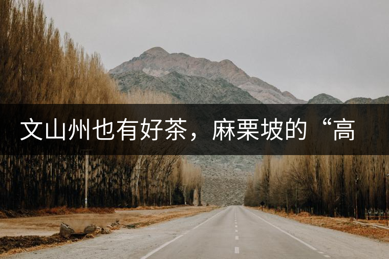 文山州也有好茶，麻栗坡的“高朋”古樹茶