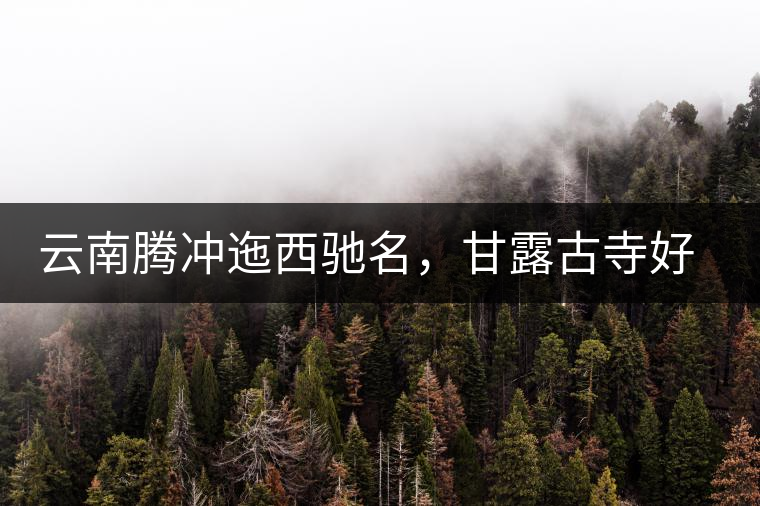 云南騰沖迤西馳名，甘露古寺好茶