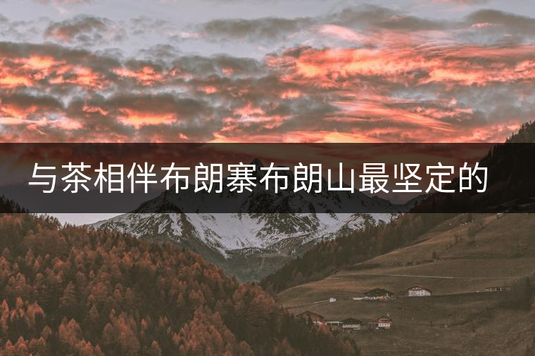 與茶相伴布朗寨布朗山最堅定的守護(hù)者