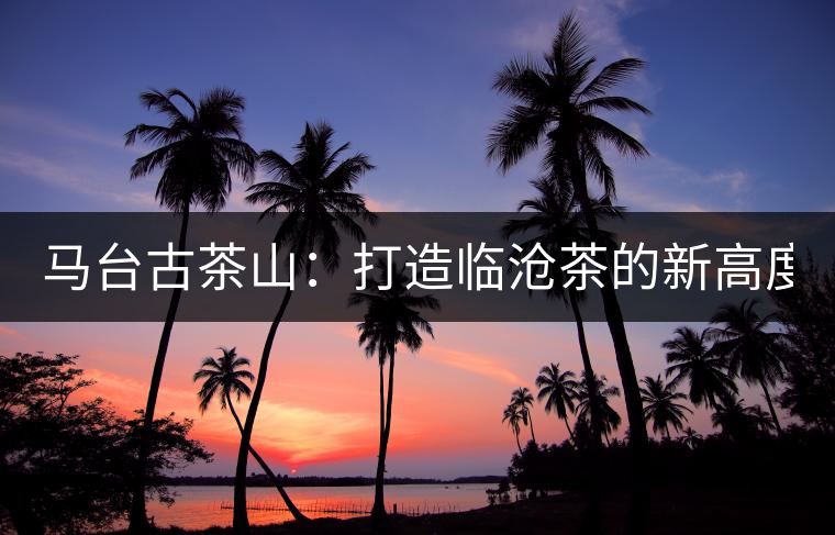 馬臺(tái)古茶山：打造臨滄茶的新高度？