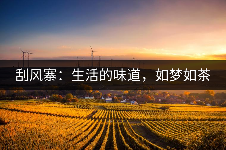 刮風寨：生活的味道，如夢如茶