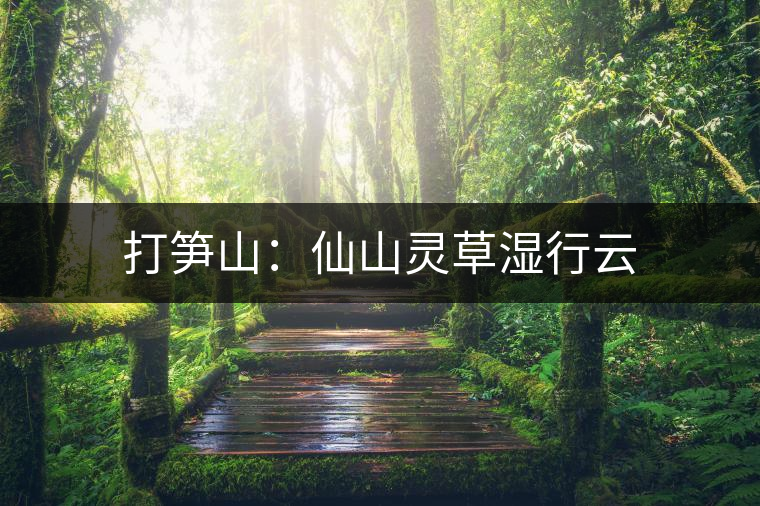 打筍山：仙山靈草濕行云
