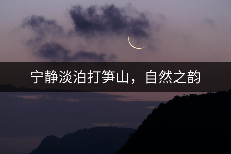 寧靜淡泊打筍山，自然之韻