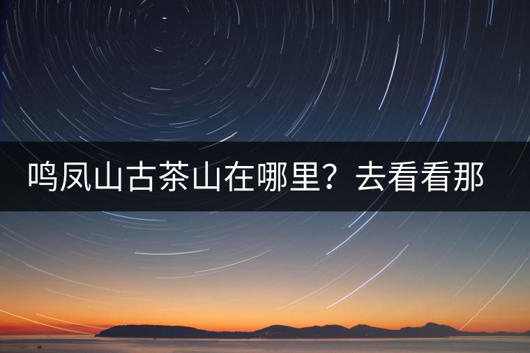 鳴鳳山古茶山在哪里？去看看那鳳凰曾經(jīng)落腳的地方