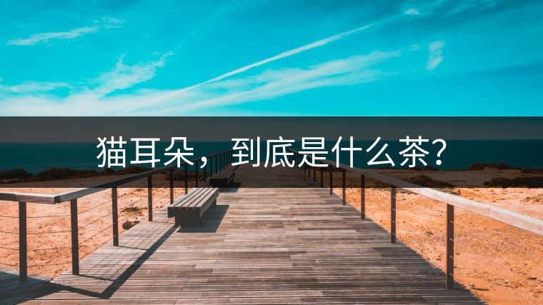 貓耳朵，到底是什么茶？