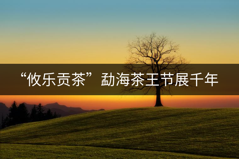 “攸樂(lè)貢茶”勐海茶王節(jié)展千年文化魅力