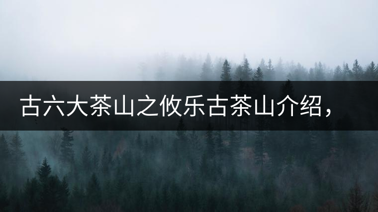古六大茶山之攸樂古茶山介紹，攸樂古樹茶口感特點