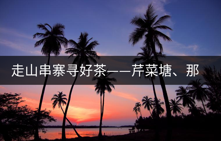 走山串寨尋好茶——芹菜塘、那罕、曼崗、昔歸