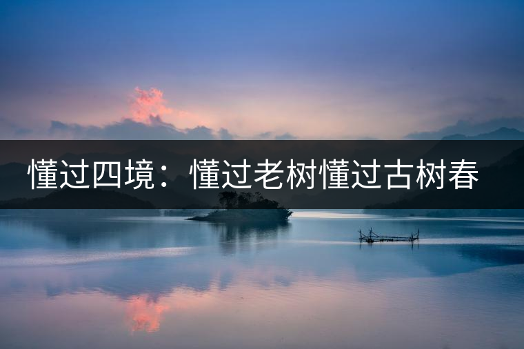 懂過(guò)四境：懂過(guò)老樹(shù)懂過(guò)古樹(shù)春秋和磨烈古樹(shù)茶