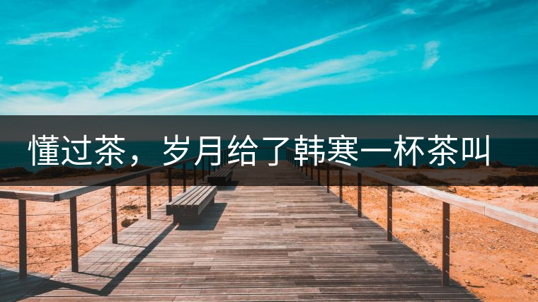 懂過(guò)茶，歲月給了韓寒一杯茶叫懂過(guò)