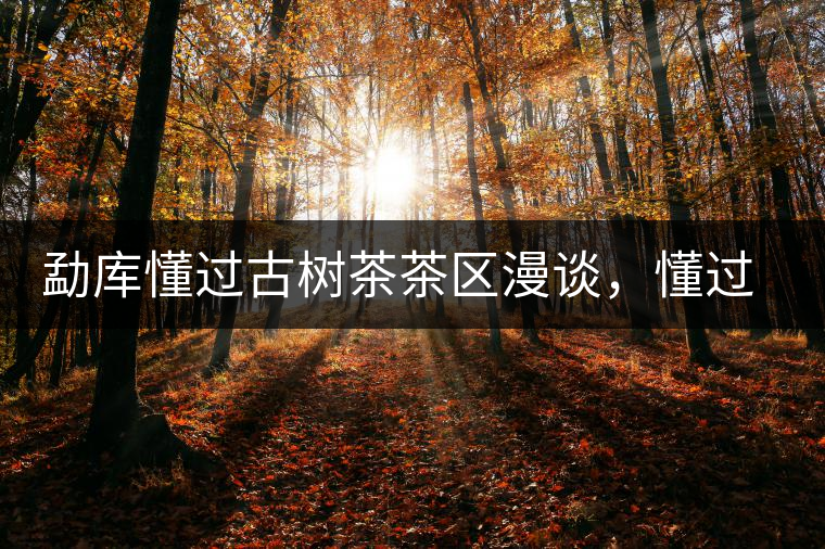 勐庫懂過古樹茶茶區(qū)漫談，懂過古樹茶的特點