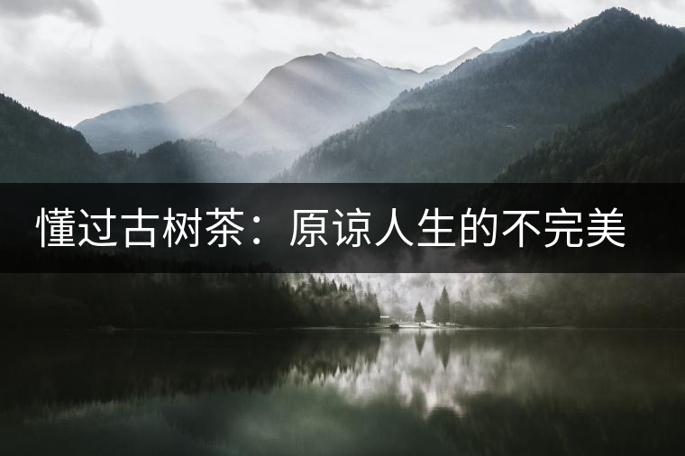 懂過(guò)古樹(shù)茶：原諒人生的不完美，多一次心靈的回歸！