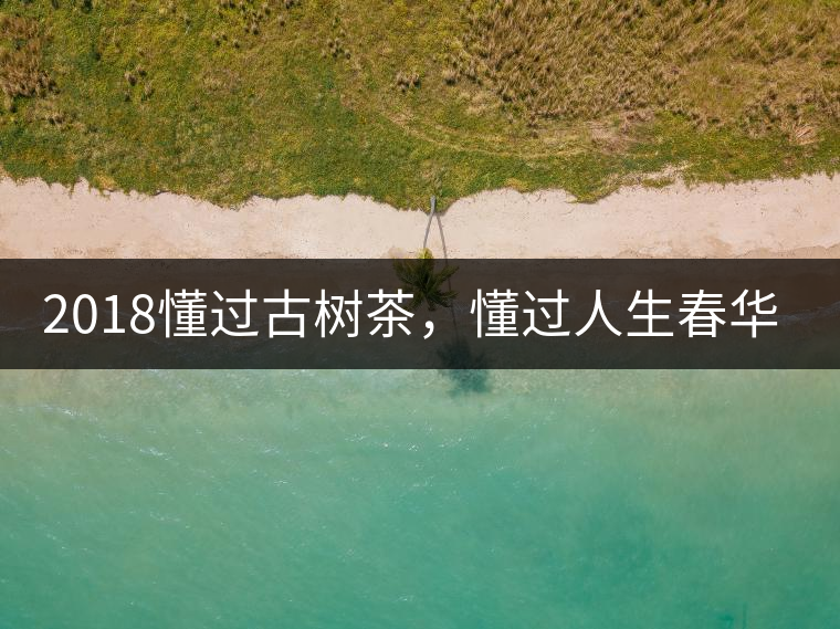 2018懂過古樹茶，懂過人生春華秋實！