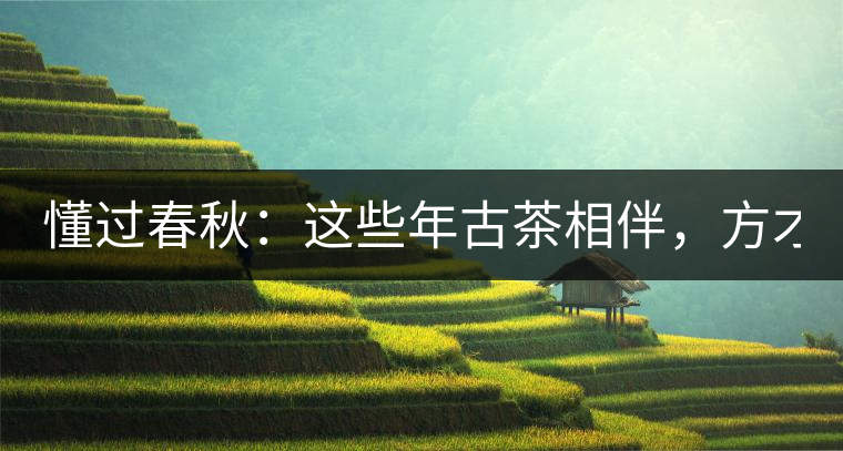 懂過春秋：這些年古茶相伴，方才懂過！