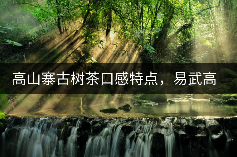 高山寨古樹(shù)茶口感特點(diǎn)，易武高山寨普洱茶介紹