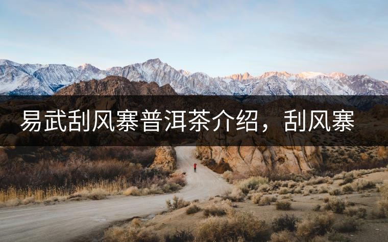 易武刮風(fēng)寨普洱茶介紹，刮風(fēng)寨古樹茶口感特點(diǎn)