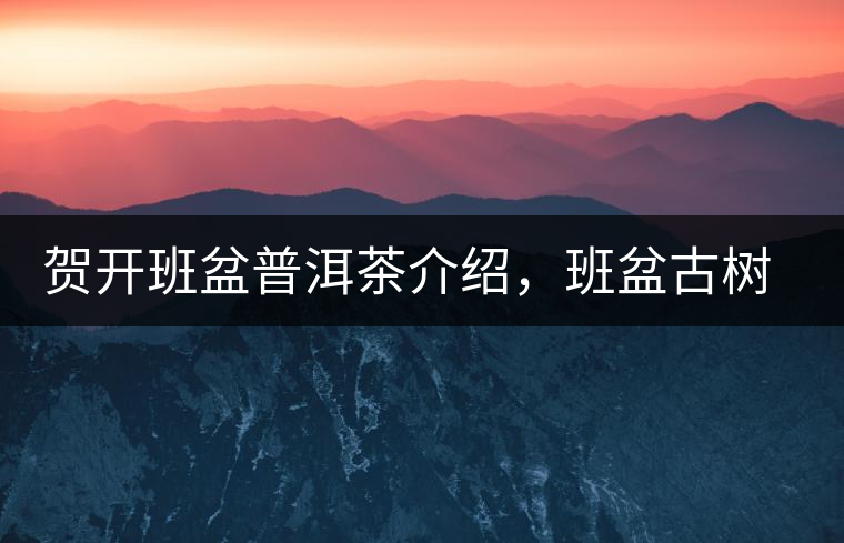 賀開班盆普洱茶介紹，班盆古樹茶口感特點