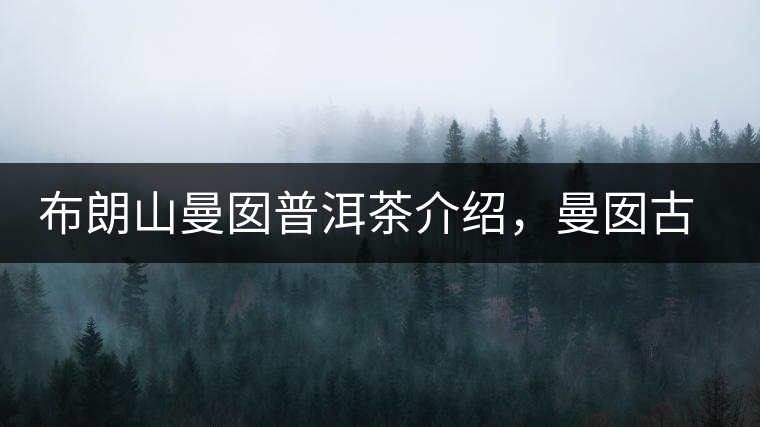 布朗山曼囡普洱茶介紹，曼囡古樹茶口感特點