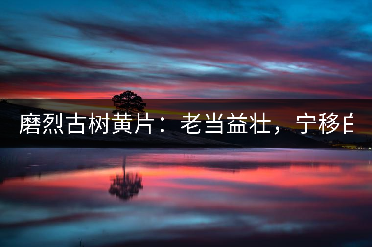 磨烈古樹黃片：老當(dāng)益壯，寧移白首之心！