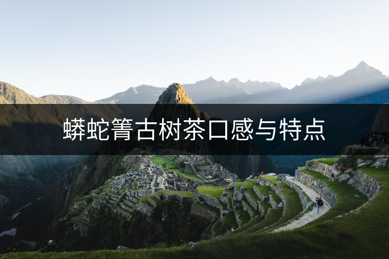 蟒蛇箐古樹茶口感與特點(diǎn) 蟒蛇箐古樹茶口感與特點(diǎn)