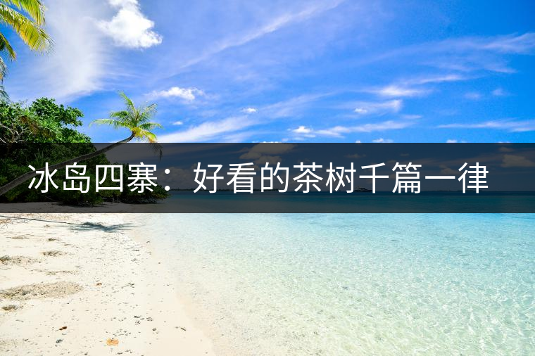 冰島四寨：好看的茶樹千篇一律，有趣的風(fēng)景萬里