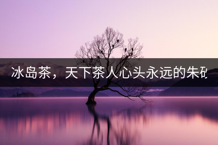 冰島茶，天下茶人心頭永遠(yuǎn)的朱砂痣！