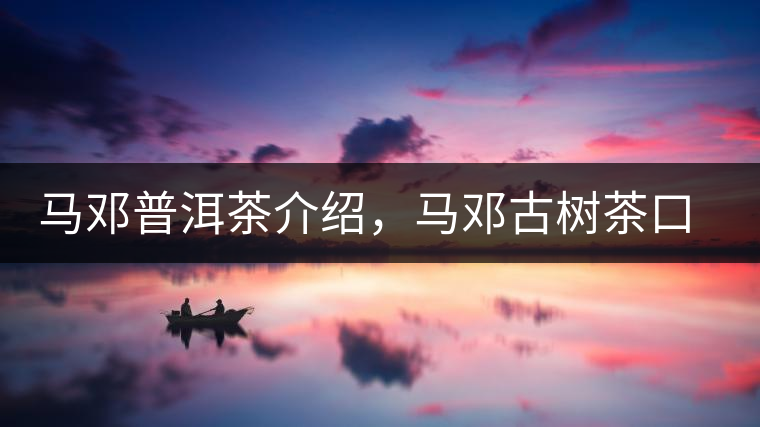 馬鄧普洱茶介紹，馬鄧古樹茶口感特點(diǎn)
