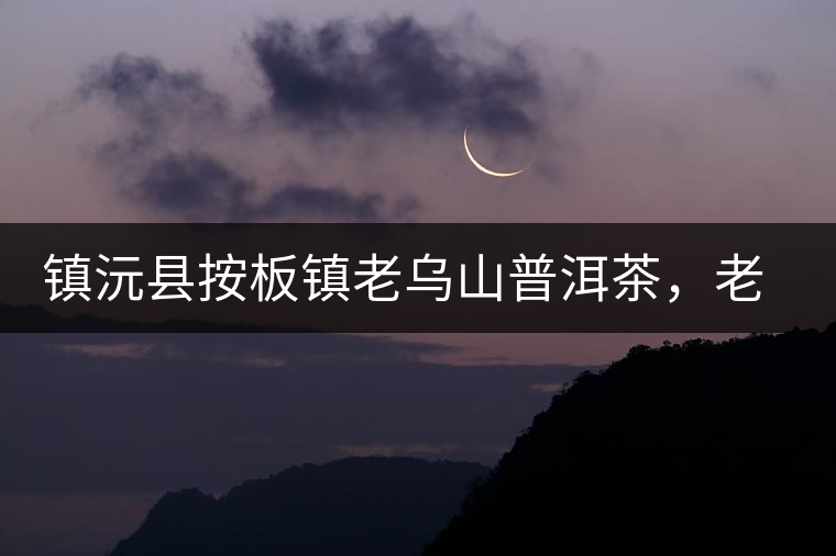 鎮(zhèn)沅縣按板鎮(zhèn)老烏山普洱茶，老烏山古樹茶口感特點(diǎn)