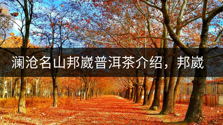 瀾滄名山邦崴普洱茶介紹，邦崴古樹茶口感特點(diǎn)