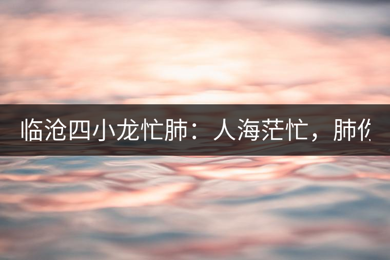 臨滄四小龍忙肺：人海茫忙，肺你莫屬！