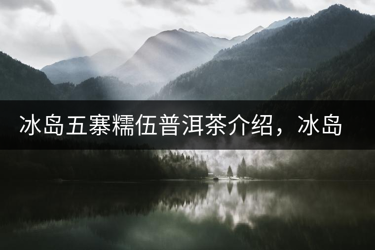 冰島五寨糯伍普洱茶介紹，冰島糯伍古樹茶口感特點