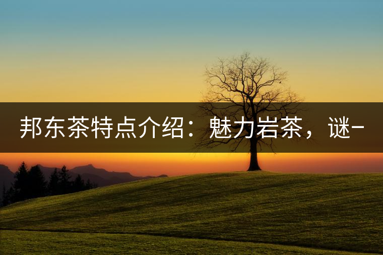 邦東茶特點(diǎn)介紹：魅力巖茶，謎一樣的邦東！