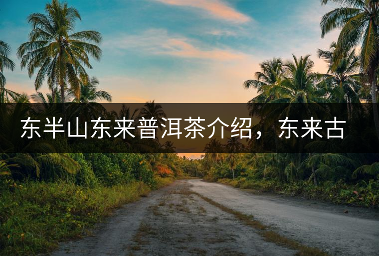 東半山東來普洱茶介紹，東來古樹茶口感特點(diǎn)