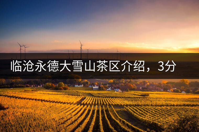 臨滄永德大雪山茶區(qū)介紹，3分鐘了解永德大雪山古樹(shù)茶