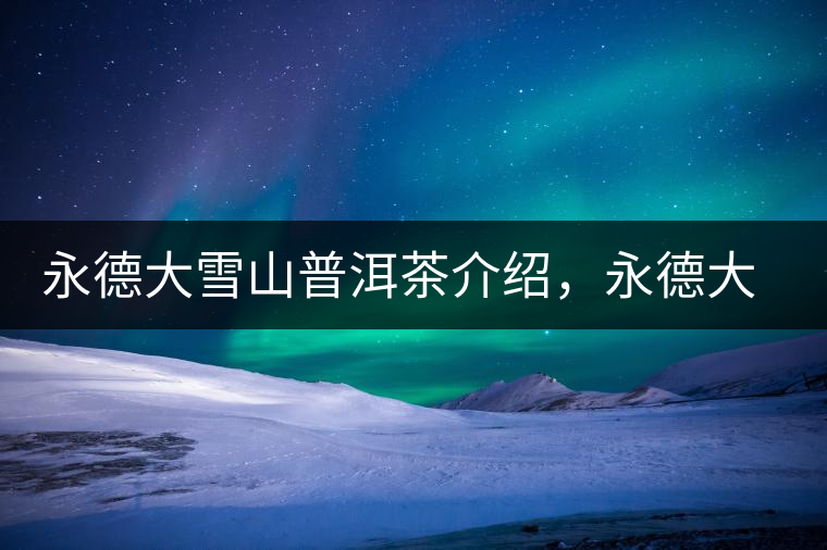 永德大雪山普洱茶介紹，永德大雪山古樹茶口感特點