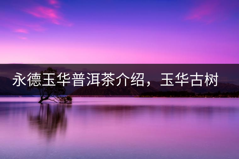 永德玉華普洱茶介紹，玉華古樹茶口感特點