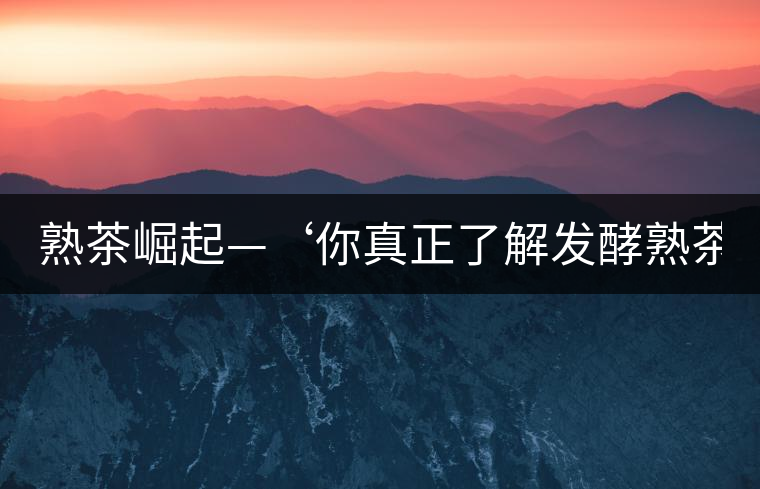 熟茶崛起—‘你真正了解發(fā)酵熟茶？’