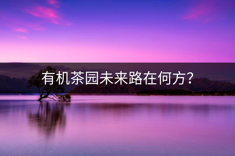 有機(jī)茶園未來路在何方？