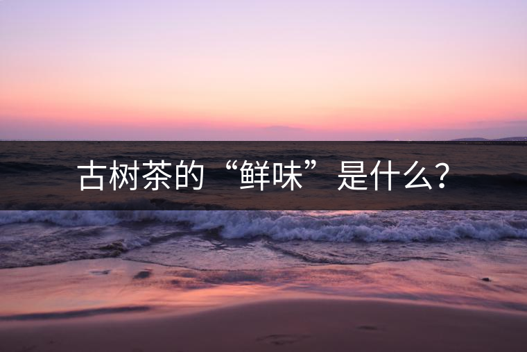 古樹茶的“鮮味”是什么？
