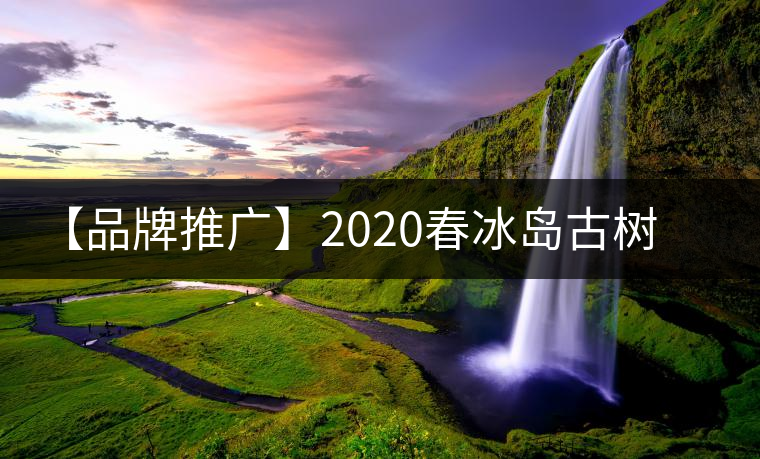 【品牌推廣】2020春冰島古樹(shù)普洱茶特級(jí)生茶餅茶葉多規(guī)格久樽正品 【品牌推廣】2020春冰島古樹(shù)普洱茶特級(jí)生茶餅茶葉多規(guī)格久樽正品