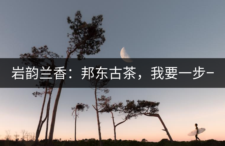 巖韻蘭香：邦東古茶，我要一步一步往上爬！